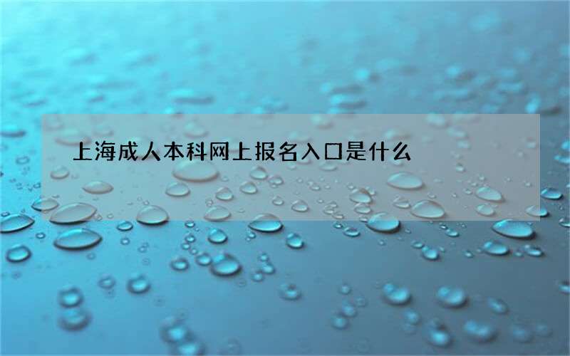 上海成人本科网上报名入口是什么