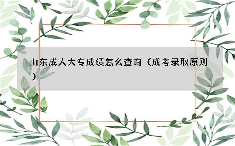 山东成人大专成绩怎么查询（成考录取原则）