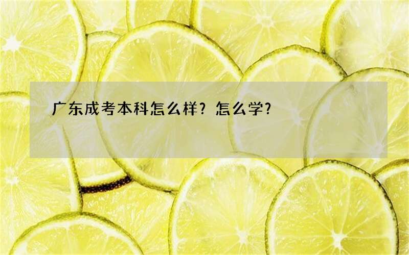 广东成考本科怎么样？怎么学？