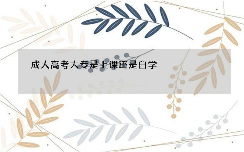 成人高考大专是上课还是自学