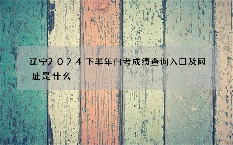 辽宁2024下半年自考成绩查询入口及网址是什么